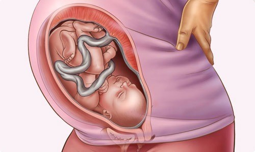 Tuần thai thứ 35 là một trong những mốc quan trọng ở chặng đường cuối thai kỳ. 