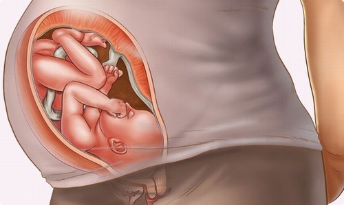 Ở tuần 35 của thai kỳ, bé đã có hình hài giống như em bé sơ sinh khi mới chào đời