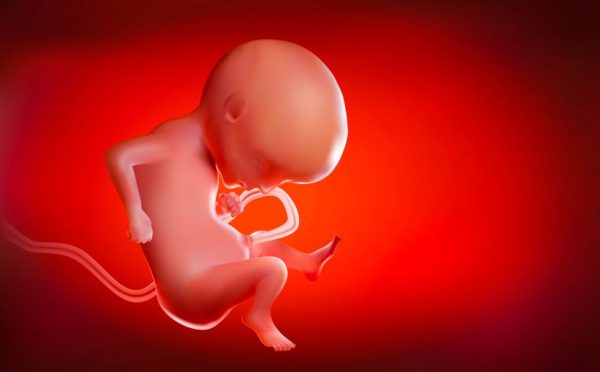 Nồng độ Beta HCG có nhiệm vụ kích hoạt các tế bào mầm của bào thai phát triển và trưởng thànha