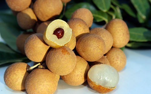 Trong quả nhãn chứa nhiều vitamin C, A... rất tốt cho cơ thể, đặc biệt là dạ dày