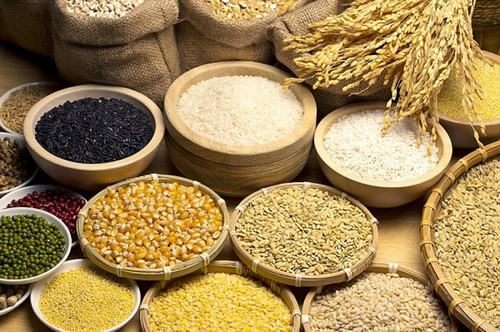 Các loại ngũ cốc cung cấp lượng chất xơ dồi dào tốt cho sức khỏe và ngăn ngừa bệnh ung thư đại tràng. 