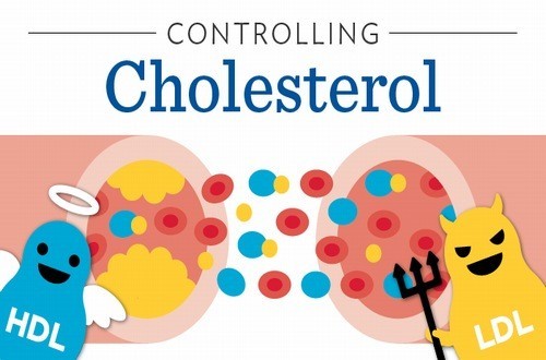Giữ chỉ số cholesterol ở mức an toàn tốt cho sức khỏe