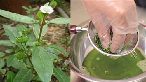 Cách chữa đau dạ dày bằng nhọ nồi được nhiều người áp dụng tại nhà đơn giản, không tốn kém