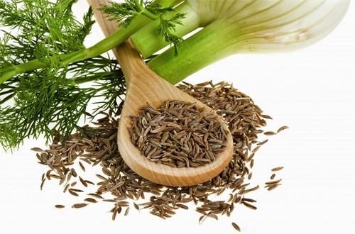 Loại hạt này có đặc tính kháng sinh chống lại các vi khuẩn gây ngộ độc thực phẩm