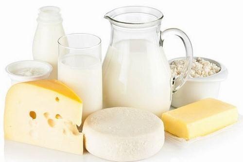 Probiotics là những vi khuẩn có lợi có trong sữa và các chế phẩm từ sữa giúp cung cấp vi sinh lành mạnh 