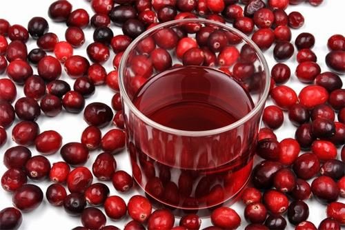 Theo nghiên cứu, thường xuyên ăn quả nam việt quất sẽ giúp bổ sung dinh dưỡng cho cơ thể 