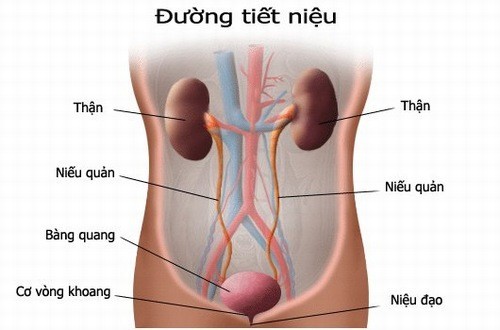 Tiểu ra máu nhưng không đau ở nữ: Nguyên nhân và giải pháp