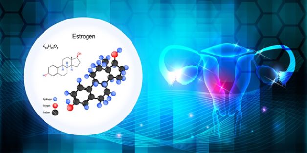 Do nồng độ estrogen quá thấp hoặc quá cao khiến cho niêm mạc tử cung bị dày