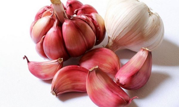 Tỏi có chứa Allyl sulphur và hành giàu Flavonoid là những hoạt chất chống oxy hóa cao, kìm hãm sự phát triển khối u, ngăn ngừa ung thư tiến triển…