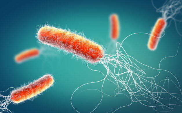 Trực khuẩn Shigella Amigua làm trẻ bị kiết lỵ