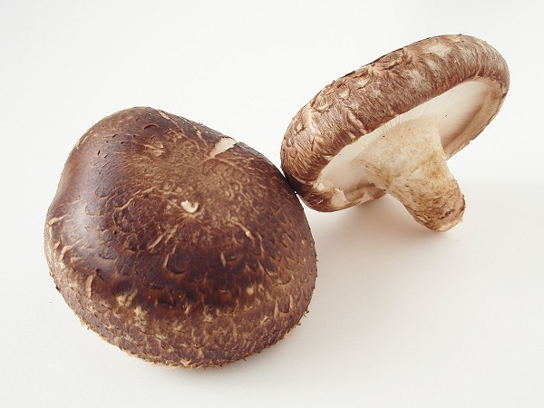 phòng ngừa ung thư vú