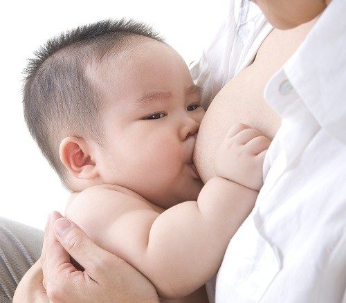 Sữa non được tạo ra do cơ chế hooc – moon