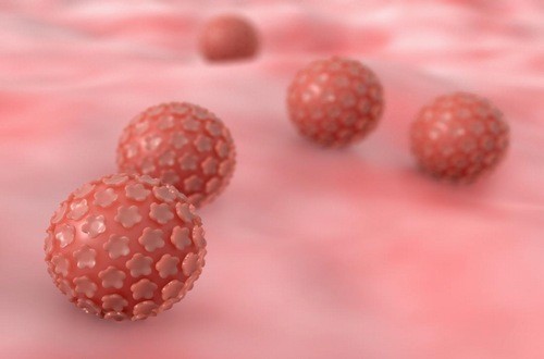 Những điều cần biết về virus HPV