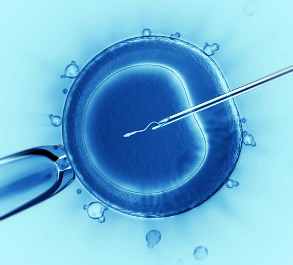 IVF có làm tăng nguy cơ ung thư buồng trứng không?