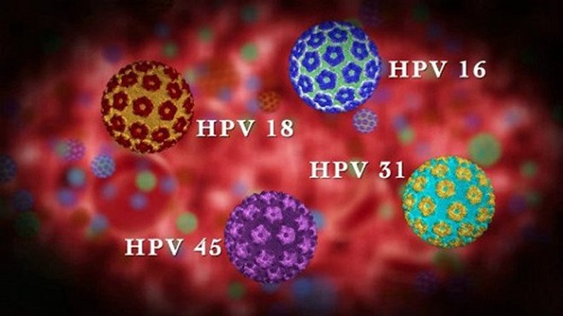 Nguyên nhân nhiễm virus hpv là gì? là băn khoăn của nhiều người