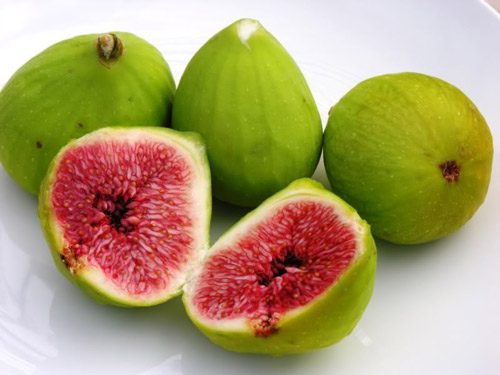 Qủa sung giúp mẹ tăng sữa tiết ra cho con bú