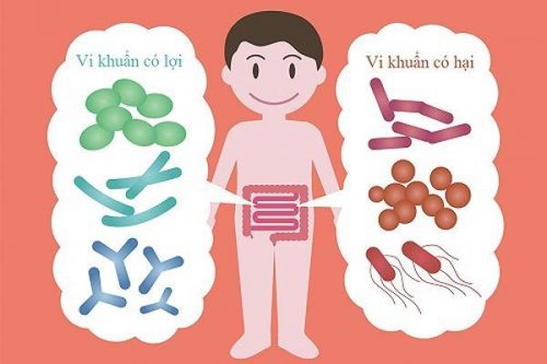 Rối loạn hệ vi sinh đường ruột làm cho thức ăn trong dạ dày không được tiêu hóa, dẫn tới đầy hơi