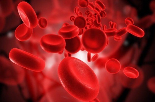 Lọc máu là gì? Là biện pháp loại khỏi máu các phần tử có trọng lượng phân tử nhỏ, là các chất cặn của quá trình chuyển hóa