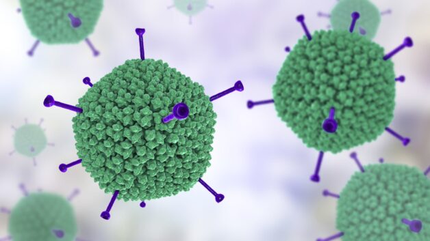 Adenovirus là virus phổ biến nhất trong các virus có thể gây đau mắt đỏ