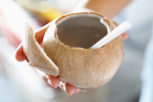Nước dừa là thức uống tuyệt vời cho người bệnh sốt xuất huyết.