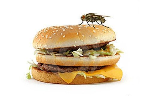 Ăn phải thức ăn nhiễm khuẩn là nguyên nhân làm bùng nổ bệnh về đường tiêu hóa vào mùa hè.