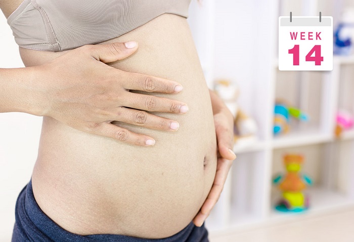 Thai nhi 14 tuần đã máy chưa là câu hỏi rất nhiều mẹ bầu quan tâm
