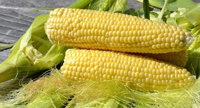 Ngô rất tốt cho sự phát triển của trí não