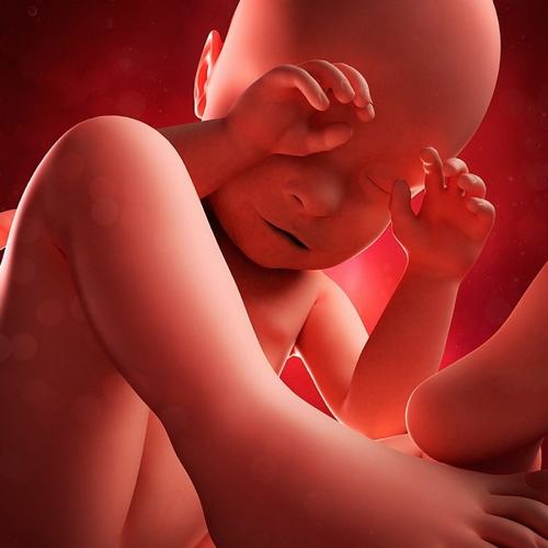 Tình trạng thai nhi bị thiếu máu nếu nghiêm trọng, cả mẹ và thai nhi sẽ gặp nguy hiểm.
