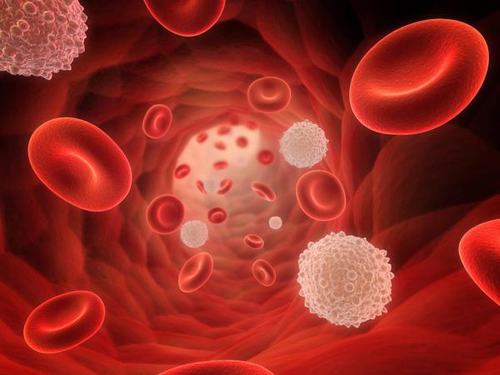 Khi lượng HBV vượt ngưỡng phát hiện virus viêm gan B càng cao, nguy cơ gây tổn thương gan dẫn đến biến chứng càng lớn