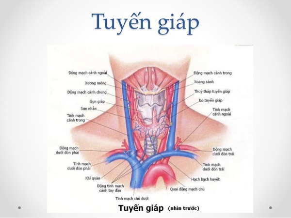 xét nghiệm máu đánh giá chức năng tuyến giáp