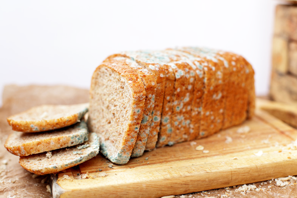 Người bệnh cần tránh những thực phẩm mốc như bánh mì, lạc, gạo, đậu mốc