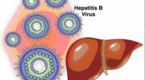 Nồng độ virus viêm gan b trong huyết tương được tính bằng đơn vị copies/ml.