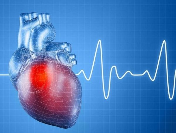 nhịp tim của người bình thường là bao nhiêu