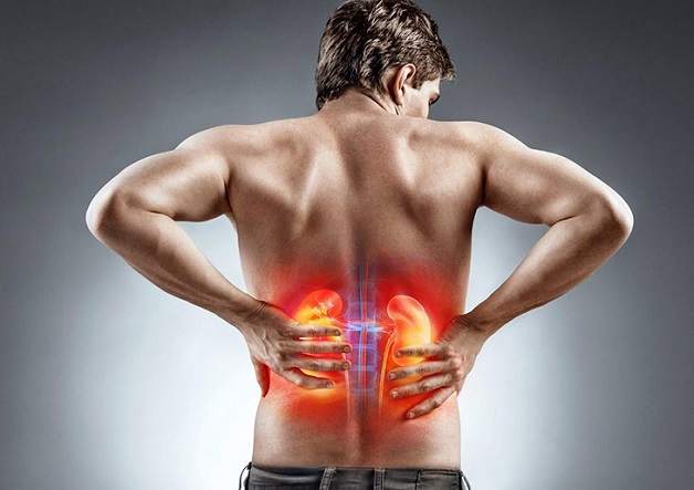 Chỉ số ure trong máu cao, thận hoạt động kém và dễ gặp phải các thương tổn