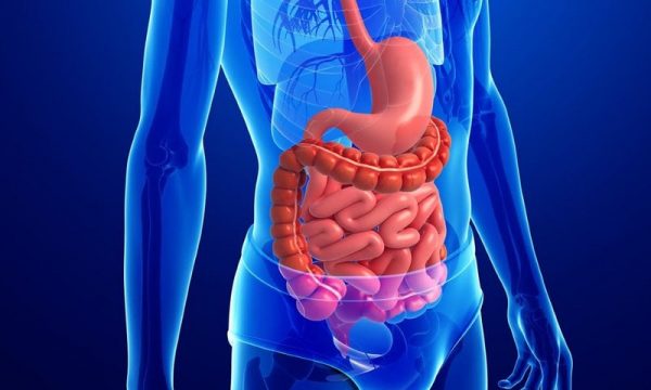 phòng khám nội soi tiêu hóa bệnh viện thu cúc uy tín và chất lượng