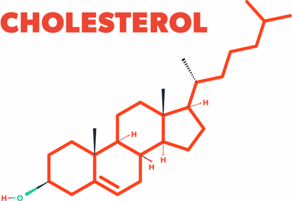 Dịnh lượng Cholesterol toàn phần cao có thể gây ra một nguy hại đến sức khỏe chúng ta