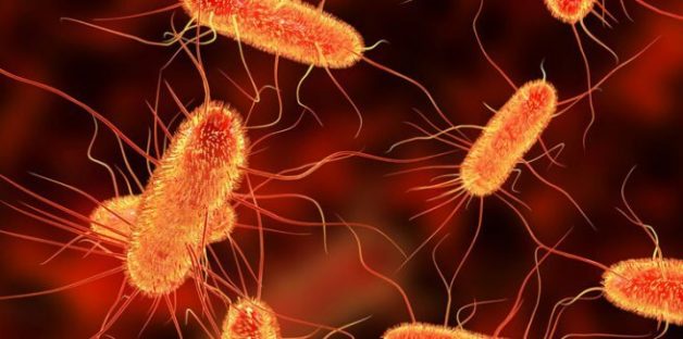 Khuẩn Ecoli là một trong những nguyên nhân chính gây nên hiện tượng tiêu chảy ở trẻa