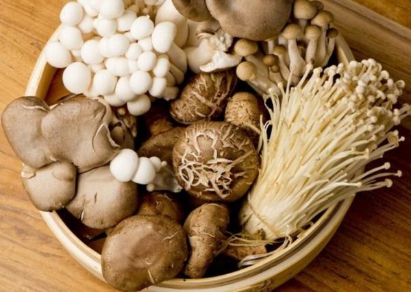 Các loại nấm cũng rất có lợi cho cơ thể, bảo vệ khớp gối