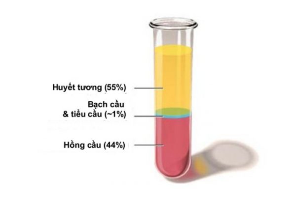 Các thành phần máu trong tổng phân tích tế bào máu