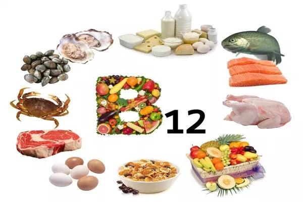 Những thực phẩm giàu vitamin B12, B6 cũng rất tốt cho người gãy xương chày