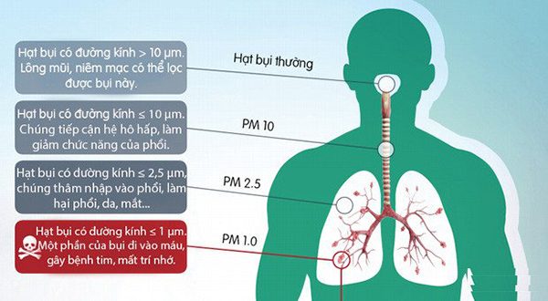 Bảo vệ hệ hô hấp: Tác hại của bụi mịn do không khí bị ô nhiễm đến hệ hô hấp con người. (ảnh minh họa)