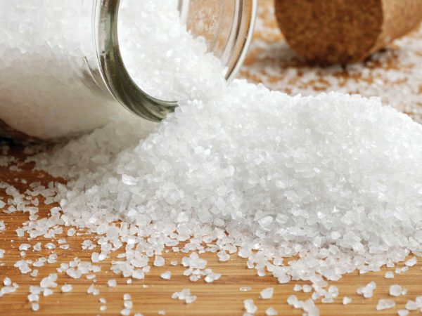 Sỏi thận không được ăn gì