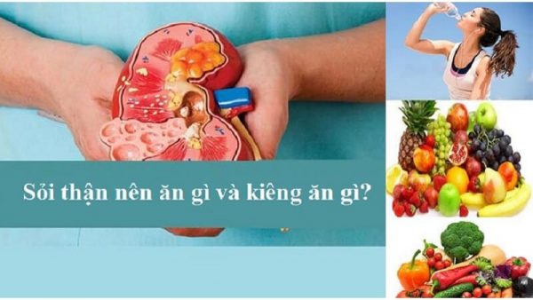 Điều trị sỏi thận như thế nào