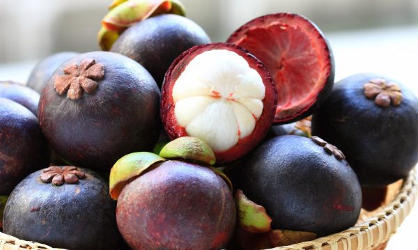 Phòng ngừa sỏi thận từ quả măng cụt