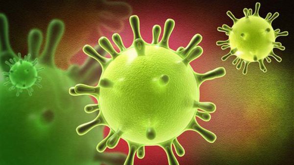 virus corona gây bệnh viêm phổi lạ