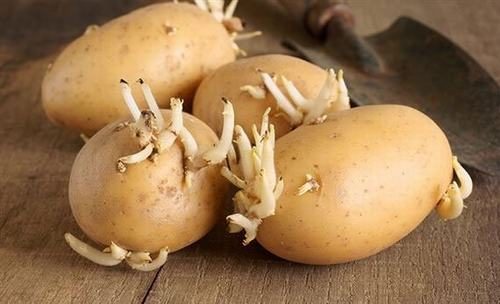Thực phẩm dễ gây ngộ độc thực phẩm - Ảnh 2