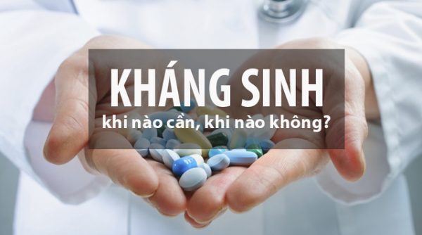 thuốc kháng sinh