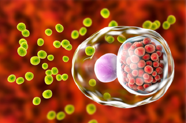 Vi khuẩn Chlamydia gây đau mắt đỏ ở trẻ sơ sinh