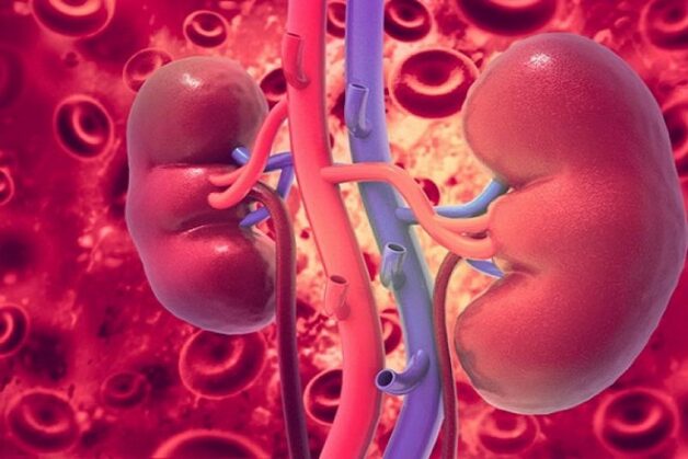 Suy thận ở trẻ em diễn biến nguy hiểm như thế nào?