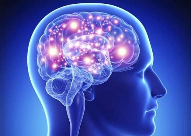 Suy giảm trí nhớ đang là nỗi lo của rất nhiều người.